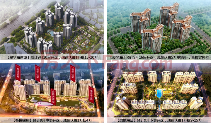 金九海口十余盘开盘
