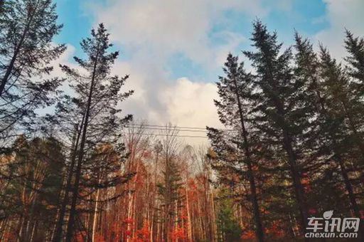            车讯荣获CHINA GT最佳传播奖