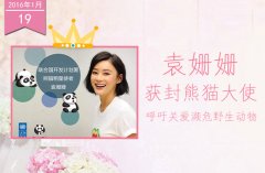思埠集团-袁姗姗获封熊猫大使 呼吁关爱濒危野生动物