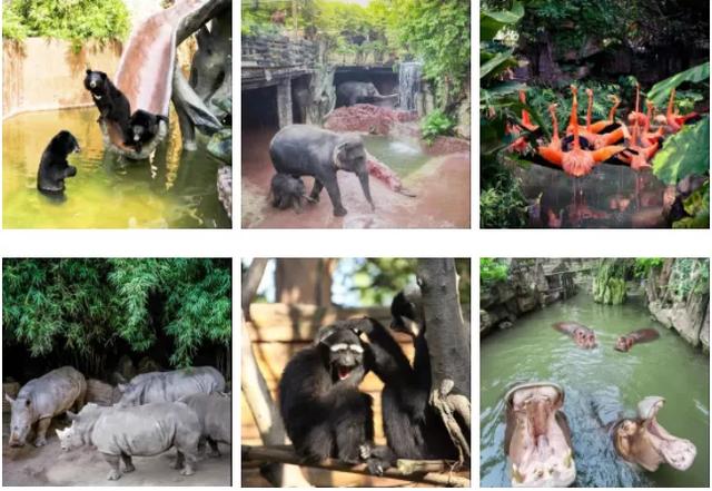 2020顺德航空航天特技飞行展，7月20日盛大启航