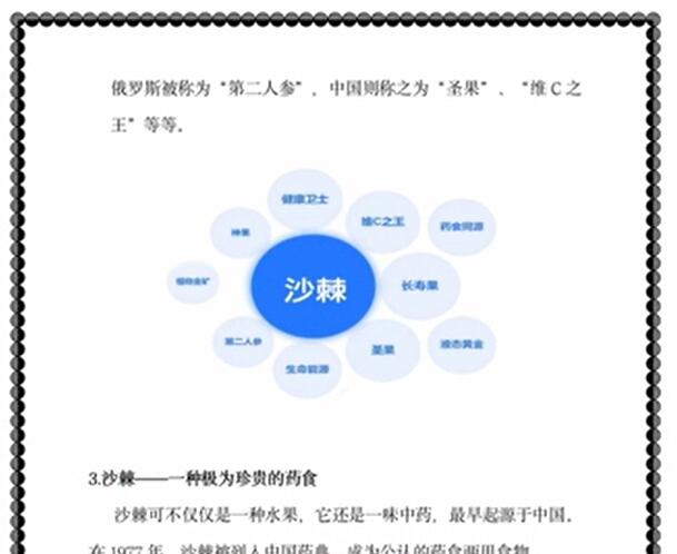 《出发，前往沙棘的王国！》