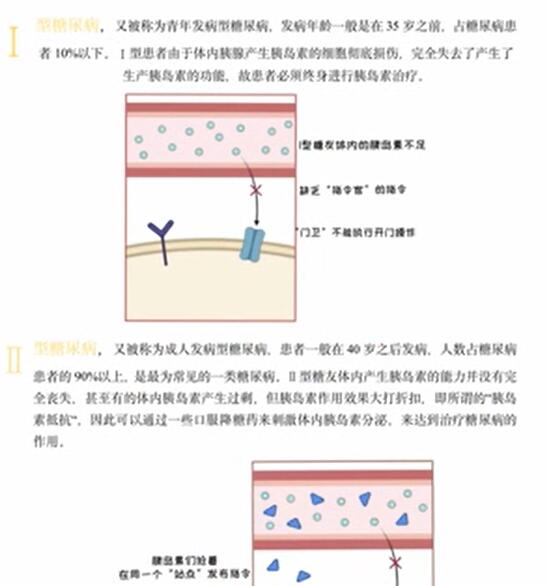 《 吃“胍”第一线——细说二甲双胍》