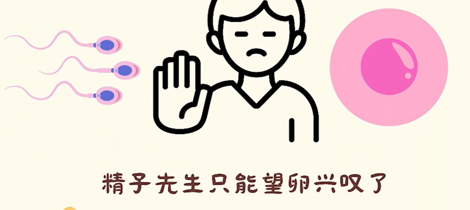 爱的守护神，还是麻烦制造者？