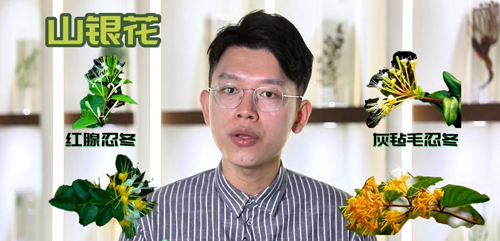 广州市市场监督管理发展研究中心《揭秘银花之间的恩怨情仇》