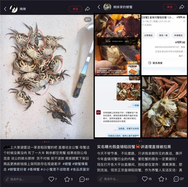 拒绝“洗澡蟹”！京东生鲜全链路溯源，只卖正宗盘锦稻田蟹
