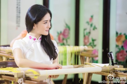 谢娜穿旗袍绣花侧颜静美网友：打开方式不对（图）