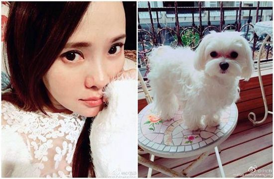 伊能静坚持怀孕期间养狗：先生不在时它便是伴（图）