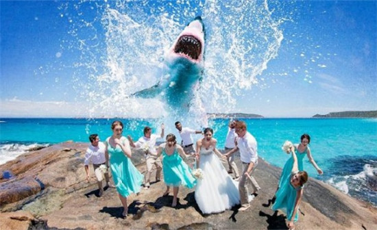澳搞怪婚礼照出炉：大白鲨入境、悬崖边接吻（图）